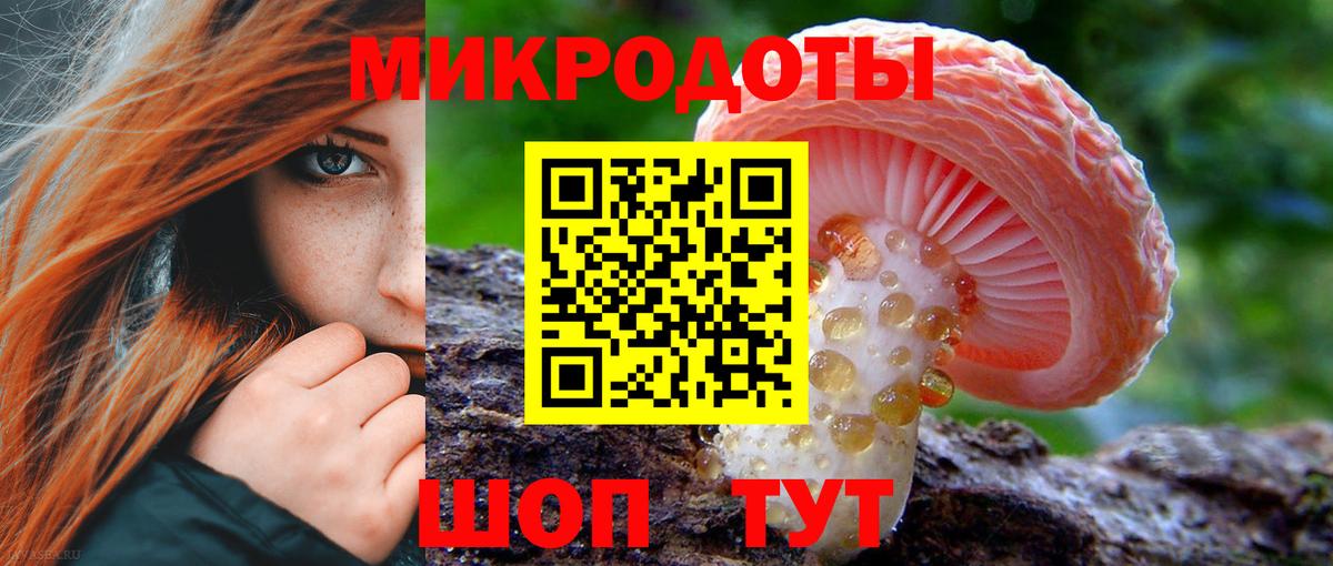 Псилоцибиновые грибы Psilocybe  Вход с VPN  Нижнеудинск 